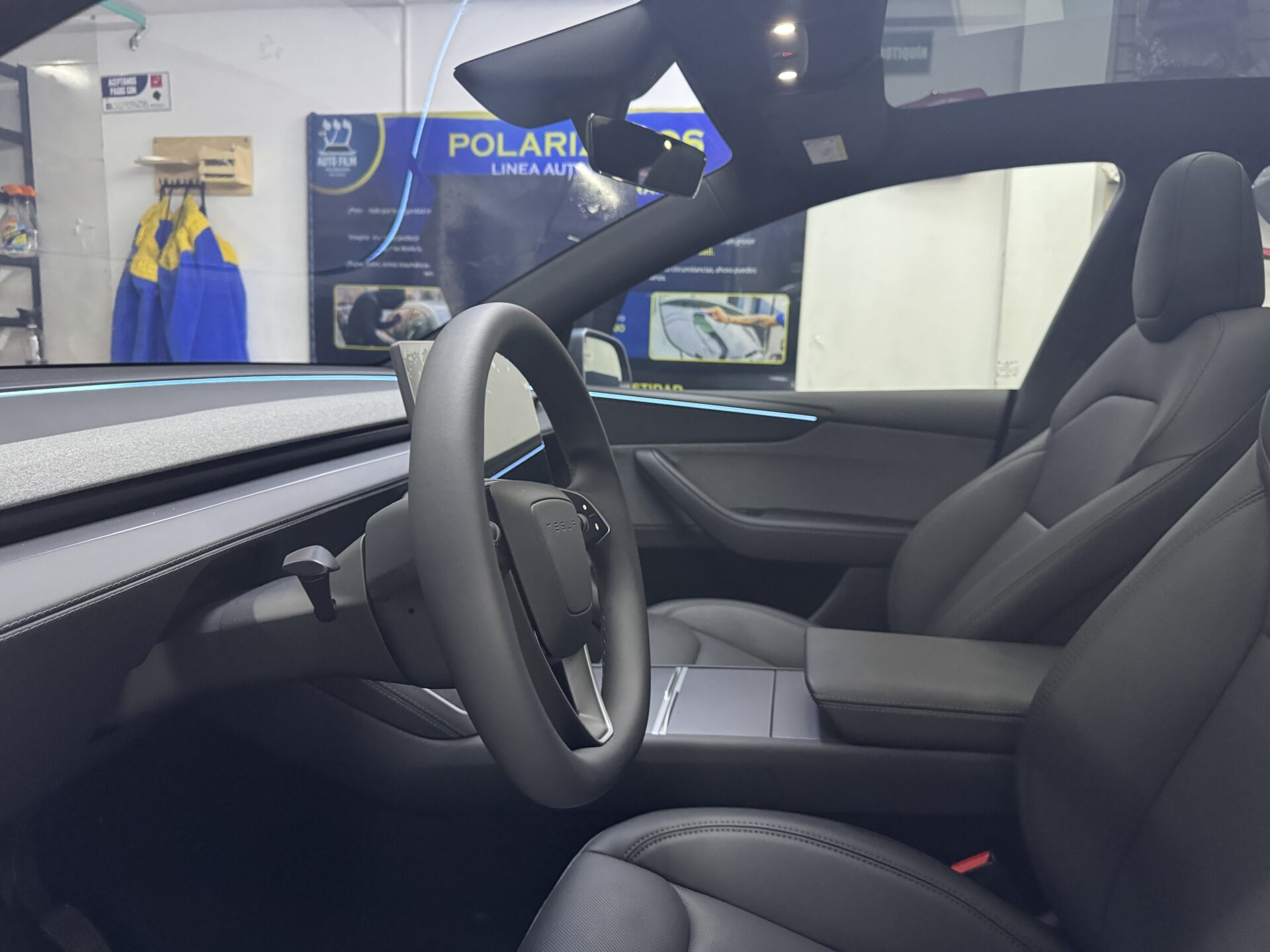 polarizados para Tesla